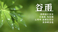 【二十四節(jié)氣灸】谷雨時節(jié)，用艾為您的健康加上一道保險！