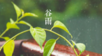 【二十四節(jié)氣灸】谷雨節(jié)氣脾土濕，艾灸降濕濁，脾旺不受邪！